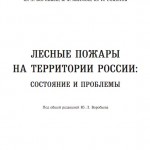 Воробьев Ю.Л. Лесные пожары на территории России: Состояние и проблемы