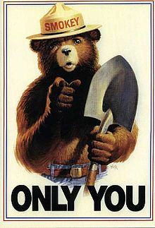 Медведь Смоки - символ охраны лесов от пожаров в США